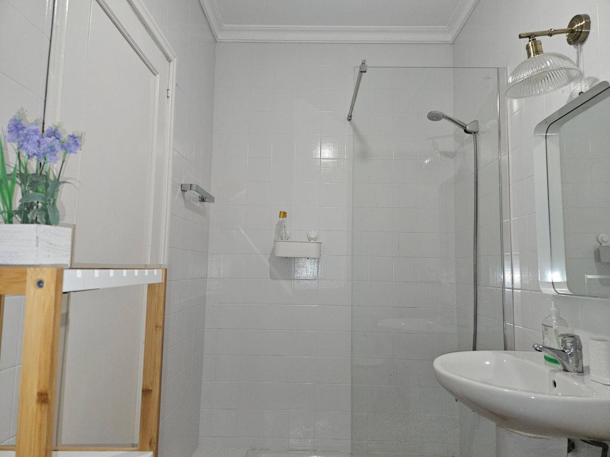 Apartment Mirador De San Telmo